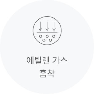 에틸렌 가스 흡착